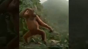 обезьянка чичичи