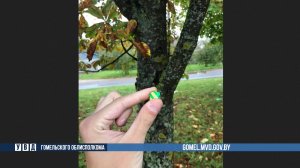 Задержаны два «ревизора», которые проверяли работу закладчиков психотропов