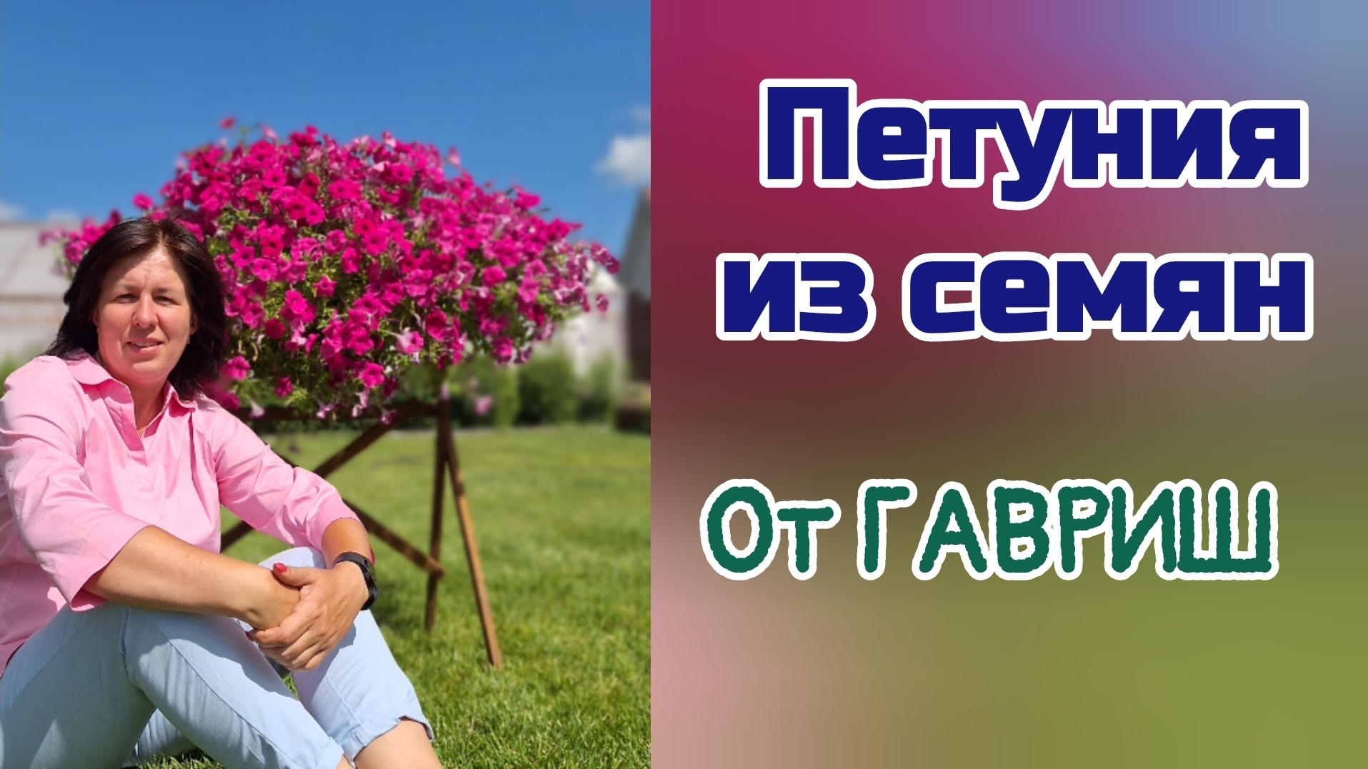 Петуния из семян от ГАВРИШ