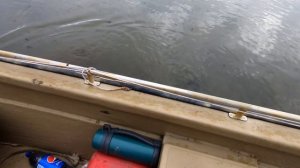 Охота на утку в начале января.Астраханская область. Раскаты.