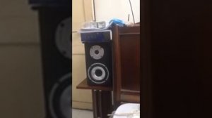 Elac bs53.2 jazz song