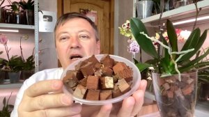 погибнет орхидея с НЕМЫТЫМИ корнями / как подготовить кубики коры для пересадки орхидей