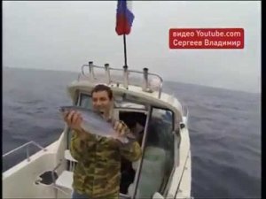 Во Владивостоке началась продажа лицензий на любительский вылов симы