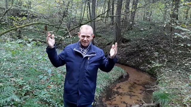 Живая Сказка. Сказочные семинары. смотреть онлайн