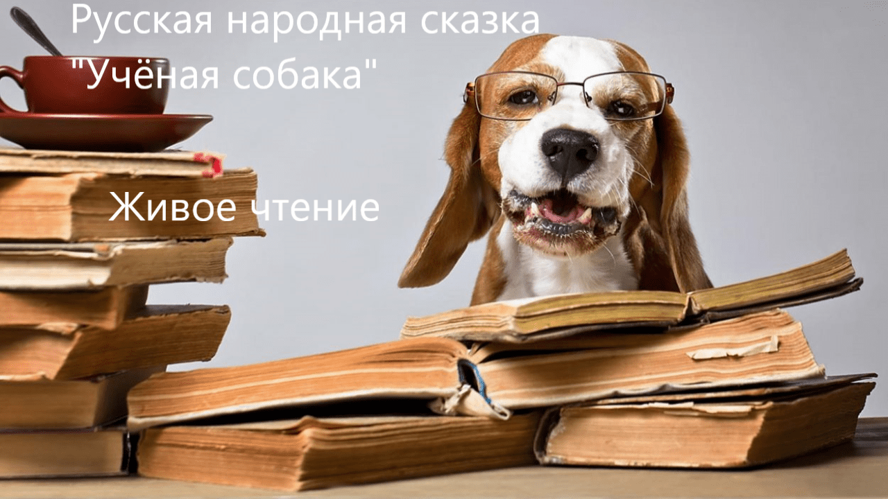 Русская народная сказка "Учёная собака". Живое чтение