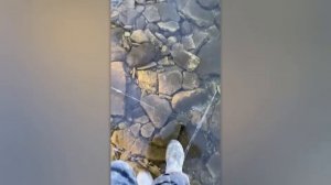 Если бы Это Не Сняли на Камеру, Никто Бы Не Поверил