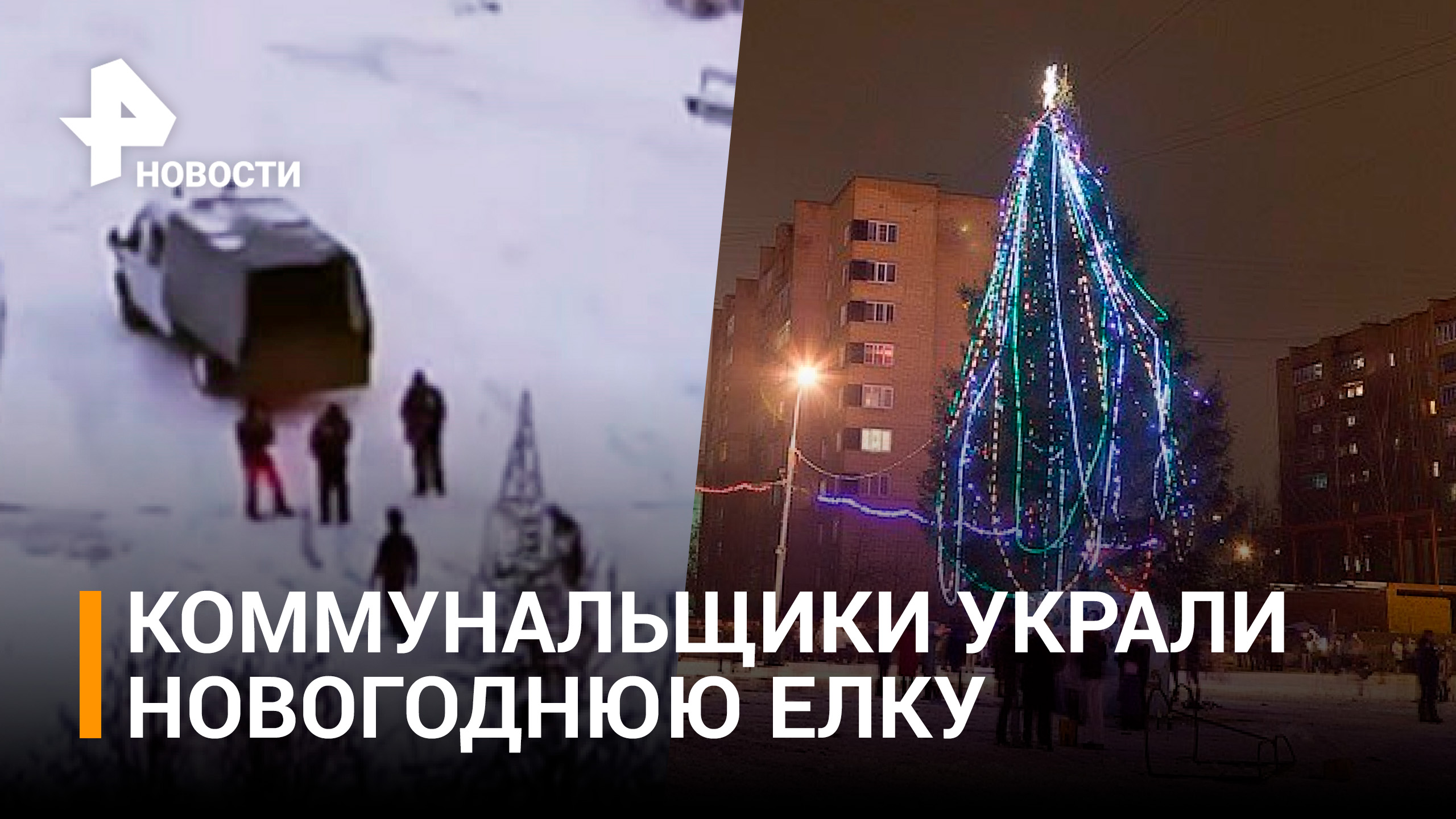 В Красноармейске пожаловались на исчезновение новогодней ели / РЕН Новости