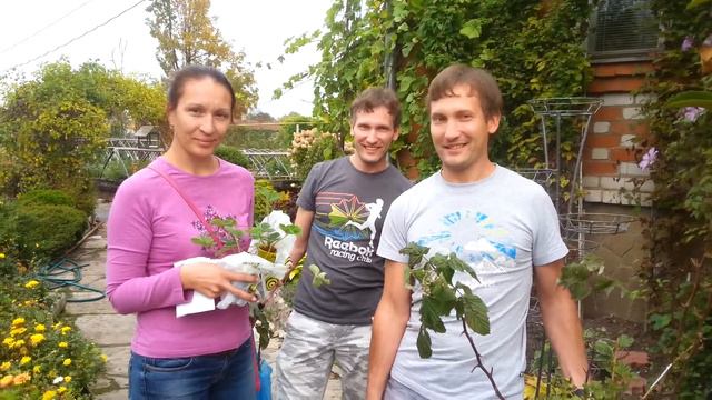 Отзыв о питомнике смотреть онлайн