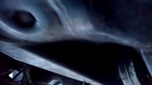 Снятие стартера на пассате б5+ моторе 2.5 V6TDI