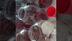 Закрывае вишнёвый компот с мятой и базиликом