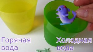 Игрушка меняет цвет в воде - Волшебный дельфин. Видео про игрушки. Открываем игрушки.