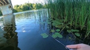 №4 Окушок и ёрш на мормышинг! Р. Нерль#мормышинг