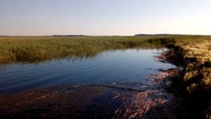Выезд на рыбалку озеро Большой Ащикуль Щербакульский район Омская область