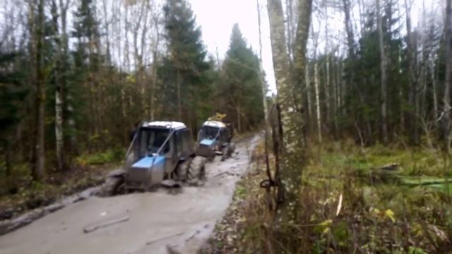 Мул в лесных условиях смотреть онлайн