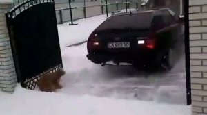 Ауди 100 с3 2.2турбо кватро