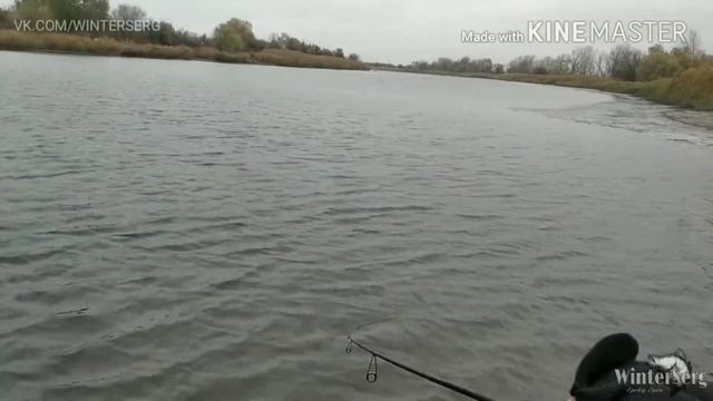 Рыбалка в Ростовской области. Окунёвая раздача. Crack Jack в действии! смотреть онлайн