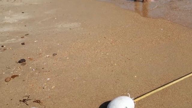 Бугазская коса Пляж с самой чистой водой