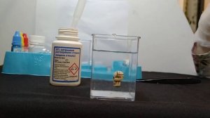 Набор Французские опыты Науки с Буки от Bondibon _Тайны глубин_ _ Химические опыты для детей.mp4