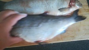 Коптим сырок (пелядь) на даче. Вкусная копчёная северная рыба