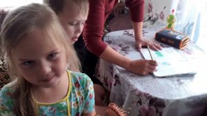 314/Покрасила волосы,Купила фен,Убирам дрова во двор