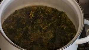 Мёд из Одуванчиков-ценный и полезный продукт/Honey from dandelions