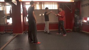 Tong bei quan - Using the spine