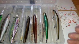 ХОЧЕШЬ ТАКУЮ?????МОЙ ТОП?ВОБЛЕРОВ?КАК ПОЙМАТЬ ЩУКУ и СУДАКА)))