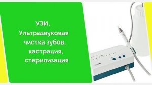 Ветеринарная клиника Смоленск Биотех