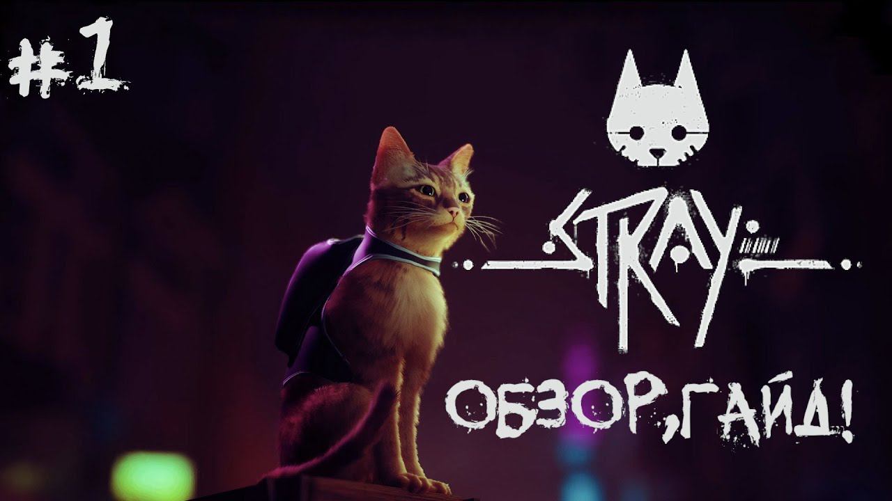 Stray  # 1 ОБЗОР,ГАЙД