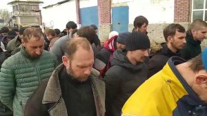 Украинские пленные, ещё одна партия.