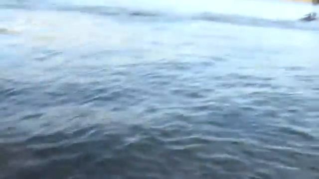 Jetski Yamaha GP 1200 Генеевка смотреть онлайн