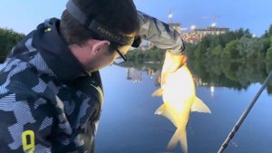 ЛЕЩ на верхней МОСКВА РЕКЕ. Ловля на фидер ночью