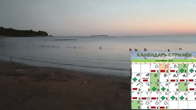 Стрижки в сентябре + ритуал для волос | Стрижки #календарьстрижек #стрижкисентябрь #стрижки #ритуал