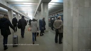 Вход в метро Царицыно, попался путеизмеритель // 4 декабря 2019