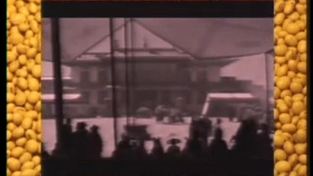 Соя. "Большой боб" - часть 1 (Что такое соя?)