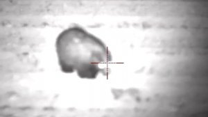 26. Pulsar Digisight Ultra N455 LRF