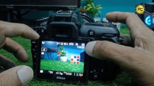 Nikon D7500 Autofocus Setting / Nikon Camera Focus Setting