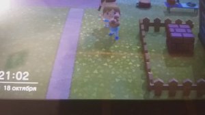 Как Играть Вдвоём в Animal Crossing для Nintendo Switch (3+) (Читайте Описание)