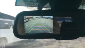 ПЕРЕКУПЫ В США