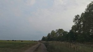 СТАВРОПОЛЬСКИЙ СЛОН | Как добраться | Родина слонов