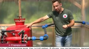 Пенсионерка построила клубничный бизнес на Сахалине