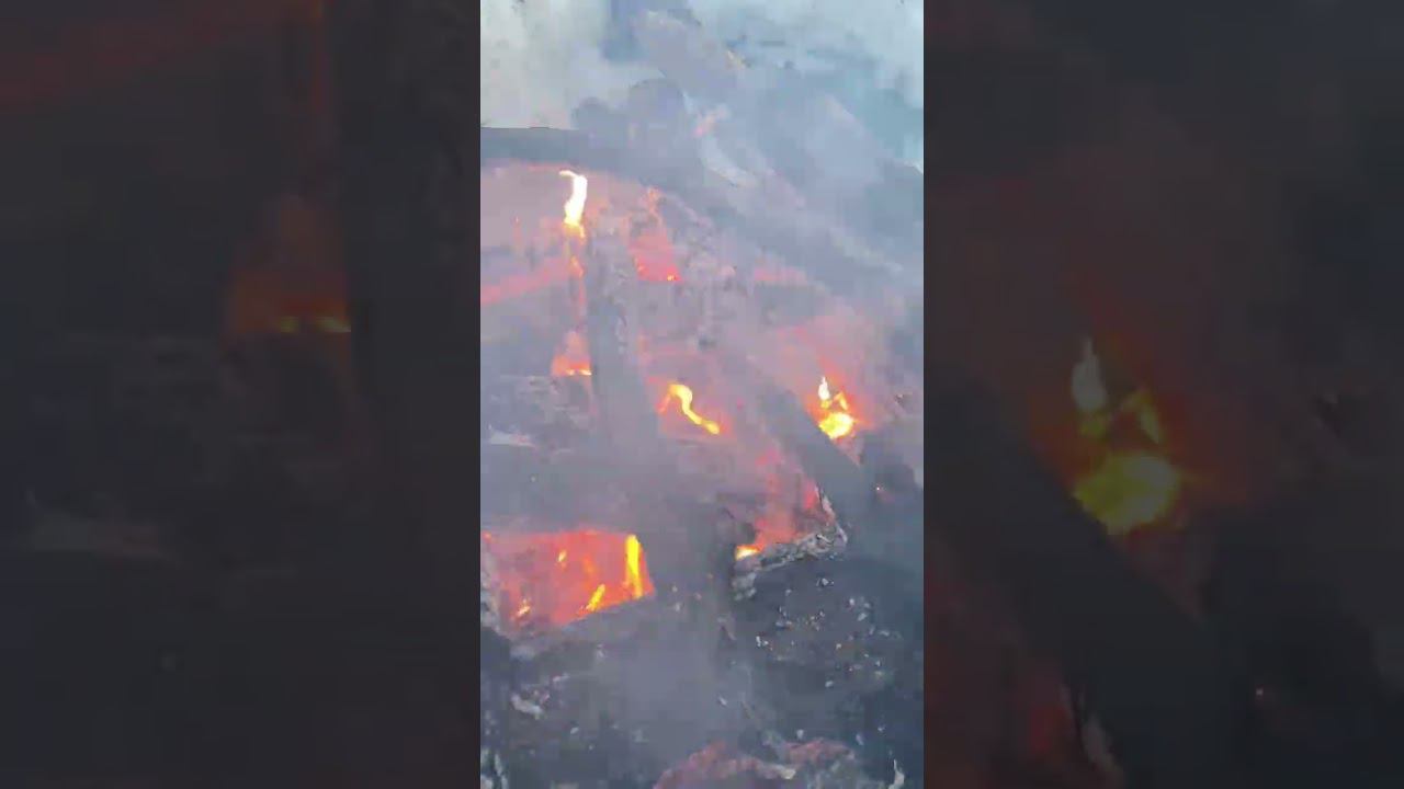 Атмосферы зимнего костра вам в ленту #shorts #костёр смотреть онлайн