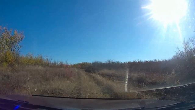 ДОНЛЕСХОЗ - ПОИСК ДОРОГИ.../9 ч./Вояж ЗВЕРЕВО -ШАХТЫ/Октябрь 2019