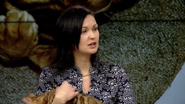 Ольга Косинова, заводчик бенгальских кошек смотреть онлайн