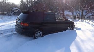 ипсум старается))