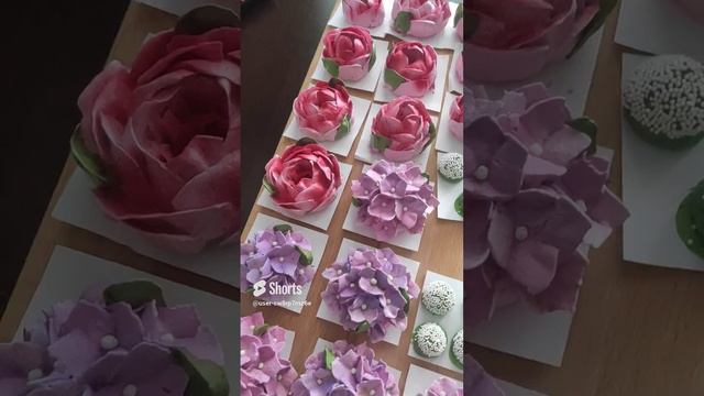 ЗЕФИРНЫЕ цветы 🌺