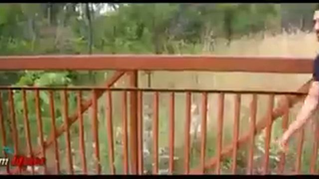 (Dubsmash) Индия vs Кавказ смотреть онлайн