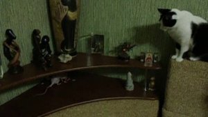 мафия