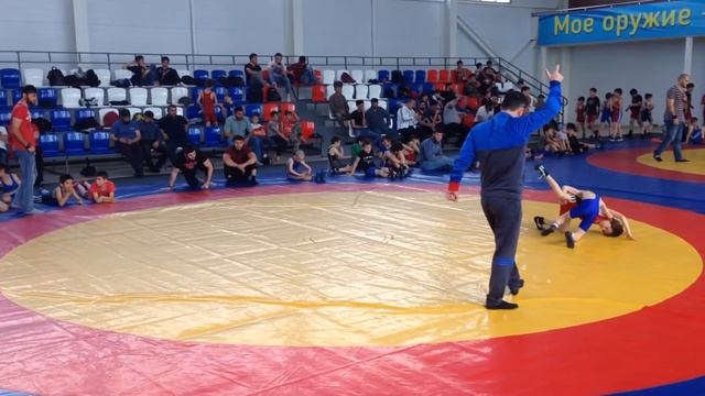 Вольная борьба смотреть онлайн