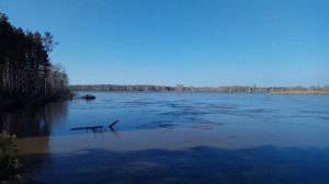 Чулым река весной